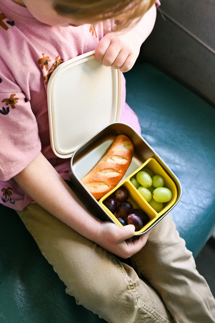<tc>Stainless steel lunchbox with removable compartments FUNKY DOGS</tc>